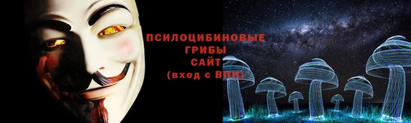 хмурый Покров