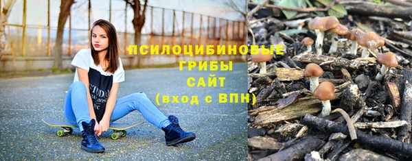 мет Пересвет