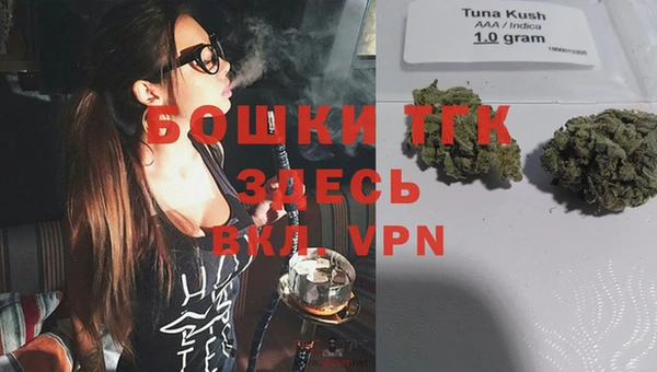 мет Пересвет