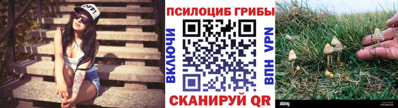 Псилоцибиновые грибы Magic Shrooms  где найти   Фёдоровский 