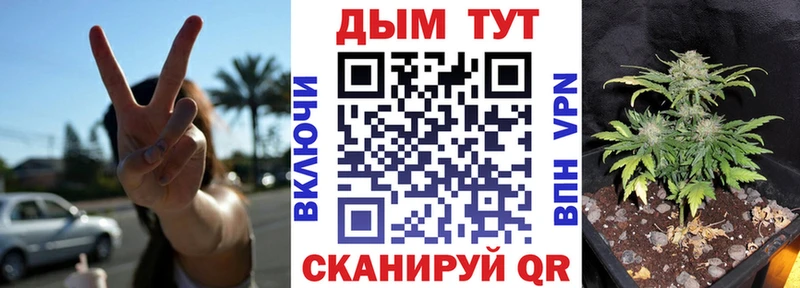 Конопля индика  Фёдоровский 